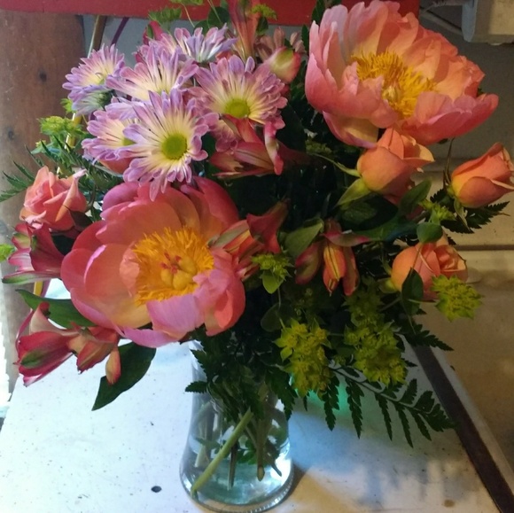 Meet your Posher, Amy - Picture 2 of 2